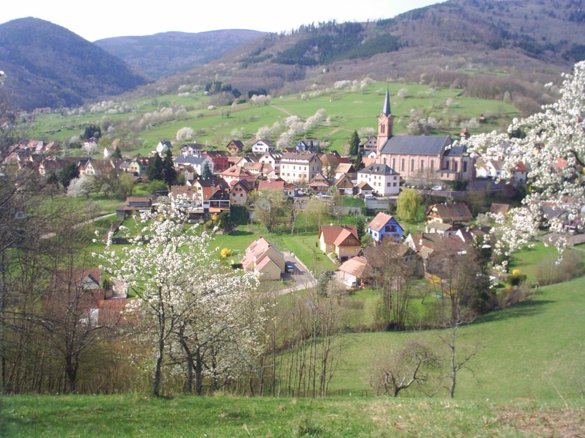 Gite Bellevue Breitenbach Eksteriør bilde