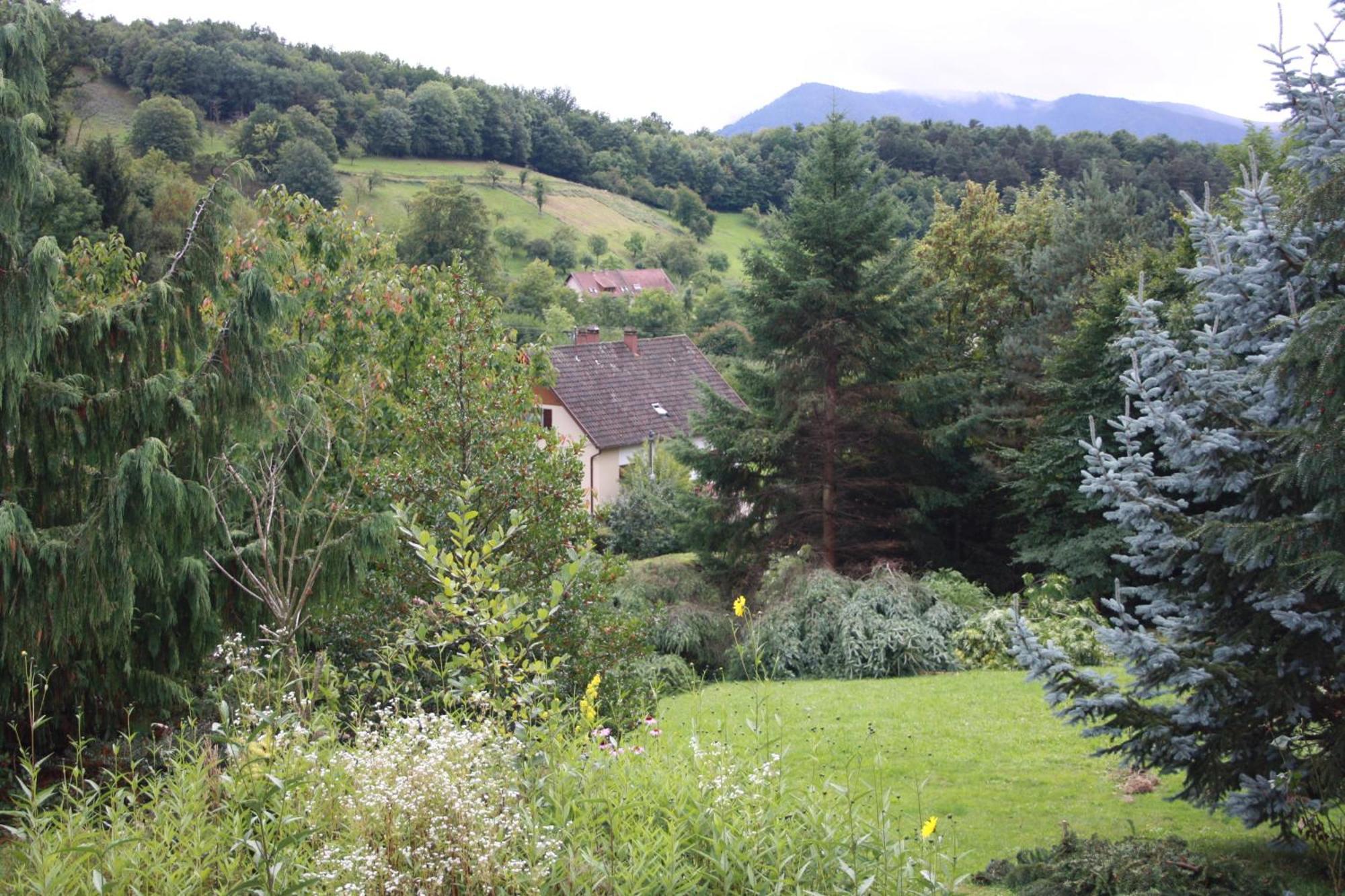 Gite Bellevue Breitenbach Eksteriør bilde